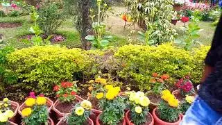 That is Divine engineering college