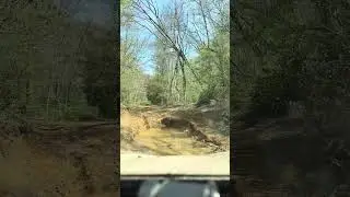 4-27-25 Beer Can Alley long video