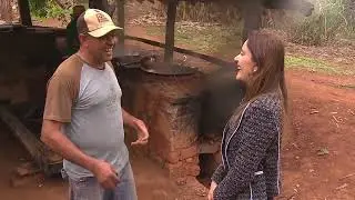 Produção do açúcar de forma