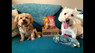 Bark Box -  March 2019:  Unboxing Chaos🐶😂💕🐕🐾🦴