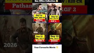 Border 2 Box Office Collection | Sunny Deol | SRK | Pathan Jawan | Kgf 2 | Border 212th Collection
