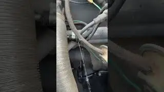 1963 VW beetle leaking gas #fuel #leak