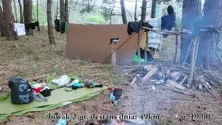 Pliszka  -  Sprewa 2025