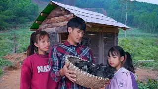 The Small Family Complete A Chicken Coop: Harvesting Vegetables | Cook Delicious Vegetable Dishes