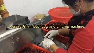 Automatic Vertical Chain Bucket Granules Filling Food Plastic Paper Film Bags Motor Packing Machine