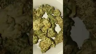 GMO 29% THC Premium Smalls Flower | Insa