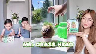 Sinubukan ulit naming i-grow ang green hair ni Mr. Grass head 🫣