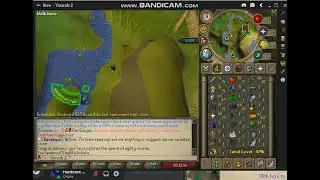 ikov 2 new world hardcore agility 200m xp  Gains