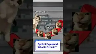 Cats Explain What Is Ozempic?