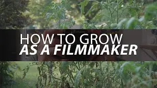 How to Grow as a Filmmaker