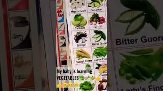 bacho ko kaise padaye.... how to make kids learn VEGGIES NAME😎😎👍👍😊😊🙏🙏#viralvideo #ytshot