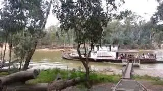 PS Pevensey returns to Echuca.