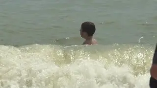Researchers say Long Island shark sightings are normal for this time of year
