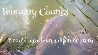Carp fishing ~ February Chunks ~ It could have been a different Story 🎣