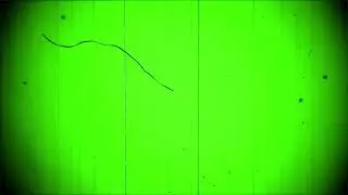 Best Old Movie Overlay Effect - Green Screen