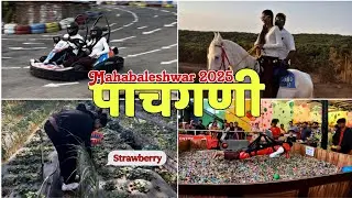 Mahabaleshwar Hills Station | Panchgani 2025 | पाचगणी | Strawberry Farm |Horse Riding | Mapro Garden