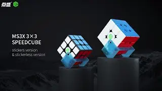 Ingenuity Flagship - DianSheng&middot;MsCube - MS3X