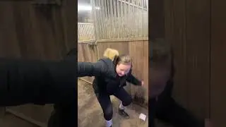 Likit trying pt2 #horse #likit #likeandsubscribe