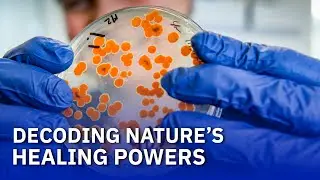 Decoding Nature's Healing Powers