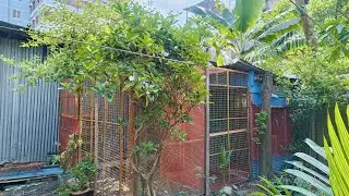 শিতে ফার্মের পশু-পাখির যত্ন নিবেন যেই ভাবে।