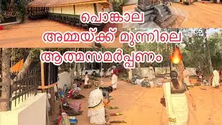 അമ്മയ്ക്ക് മുന്നിൽ തിളച്ചു മറിയുന്ന പ്രാർത്ഥന 🔥Pongala | Bhadrakali Devi Divine Blessings