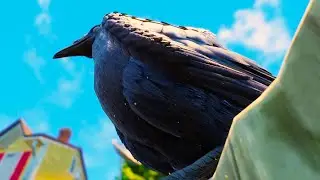 Finding Rare Bird Feathers To Make New Stuff in Grounded