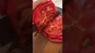 Помідорки за 5 хвилин #топ #food #готовимдома #recipe #cooking #foodie #рекомендации #рецепты