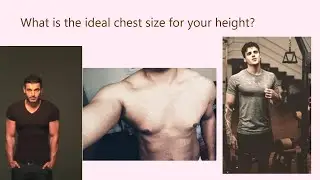 What is the ideal chest size for your height?