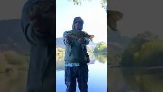 where do the bass go in the fall #bassfishing #idahofishing #fishing #snakeriverfishing #fish