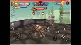 Wildcraft-pvp solo
