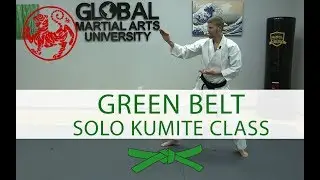 Shotokan - Green Belt - Solo Kumite Practice Class