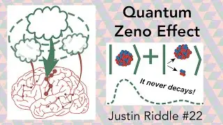 #22 - Quantum Zeno Effect: using your quantum mind to change your digital brain