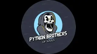 Python Brother's Official Channel Trailer...