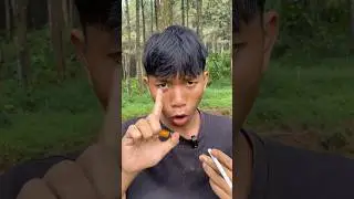 Great life hacks with cigarette tipping paper🚬🔥 #camping #survival #bushcraft #outdoors