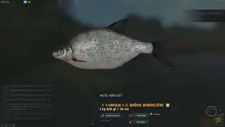 Fisher Online - Tch&eacute;quie &eacute;tangs - Unique Br&egrave;me Bordeli&egrave;re (Silver Bream)