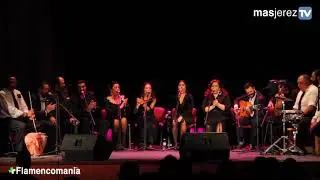 2017 - Zambomba de la Plazuela - 08 - Coro - Calle de San Francisco
