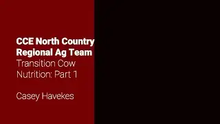 Transition Cow Nutrition: Part 1