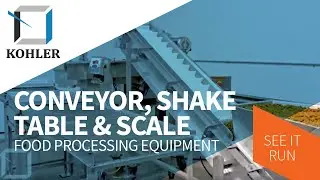 Conveyor, Shake Table, and Scale | Food Processing Line Test Run
