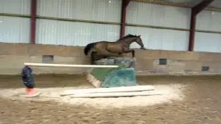 Special Tiara Schooling