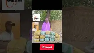 Troops of Operation HADIN KAI bust Boko Haram drug supplier