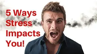 5 Ways Stress Impacts Your Performance, Productivity, & Relationships | How To Get More Energy