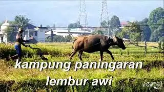 KAMPUNG PANINGARAN LEMBUR AWI || Sinematik 4K || RELAKSASI || PENENANG JIWA