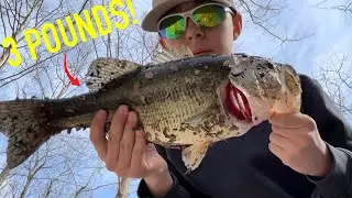 Fishing Crystal Clear Pond for Big Bass! (Turn to HD for best quality)
