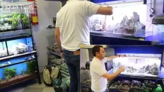 LandScape Modular Por Acuarios Naturales en Don Disco Sevilla || AquaTips