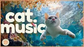 ZERO ADS - Music to Calm Your Cat 🐱 Anti-Anxiety Lullaby 🌈🎼