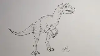 Como desenhar um Alossauro - How to draw Allosaurus