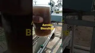 #MBBR/#effluent treatment plant/#Aerobic Bioculture/#sumitstudytalks.