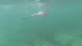 SNORKELING AT FRESHWATER BEACH