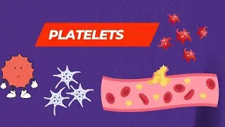 PLATELETS | BMLT | DMLT | MOST IMPORTANT | easiest explanation | COMPETITIVE EXAM | HEMATOLOGY