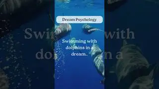 Swimming with dolphins in a dream..【Dream Psychology】#shorts #facts #psychology
